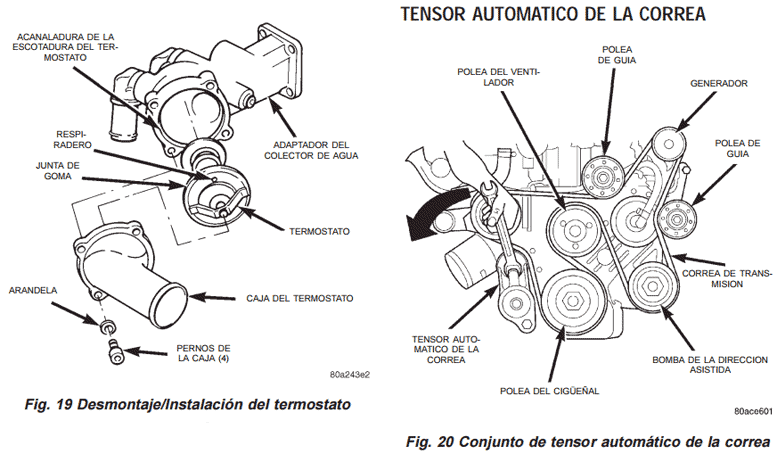 Termostato y tensor automatico de la correa